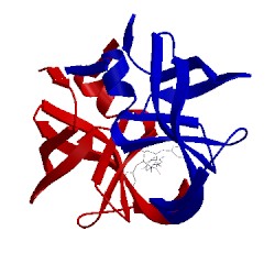 Image of CATH 1mer