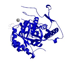 Image of CATH 1mew