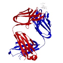 Image of CATH 1mfb