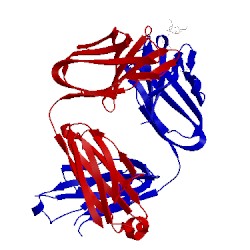 Image of CATH 1mfe