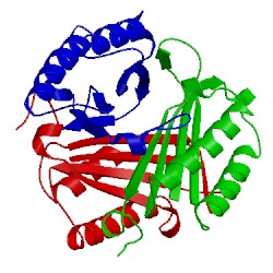 Image of CATH 1mff