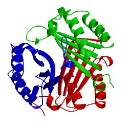 Image of CATH 1mfi