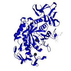Image of CATH 1mfv