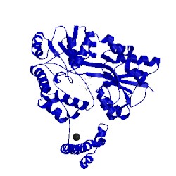 Image of CATH 1mg1