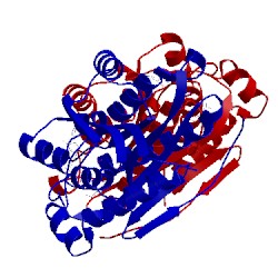 Image of CATH 1mg5