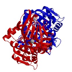 Image of CATH 1mgo