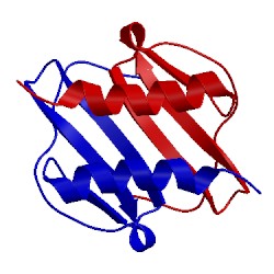 Image of CATH 1mgs