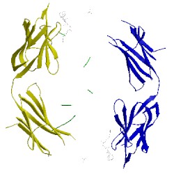 Image of CATH 1mh5