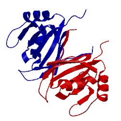 Image of CATH 1mh6