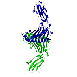 Image of CATH 1mhc