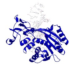 Image of CATH 1mht