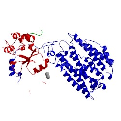 Image of CATH 1mhz