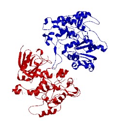 Image of CATH 1mi1