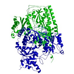 Image of CATH 1mio