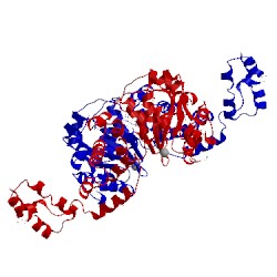 Image of CATH 1miv