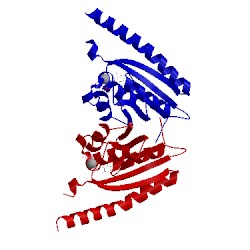 Image of CATH 1mjh