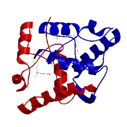 Image of CATH 1mjl