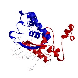 Image of CATH 1mjp