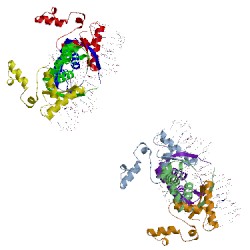 Image of CATH 1mjq