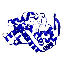 Image of CATH 1mk8
