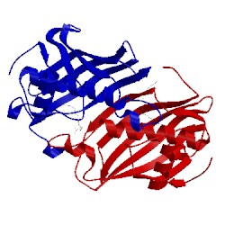 Image of CATH 1mka