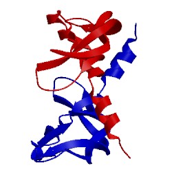 Image of CATH 1mkk