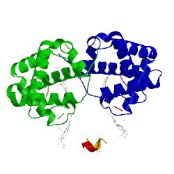 Image of CATH 1mko