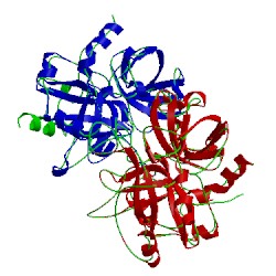 Image of CATH 1mkw