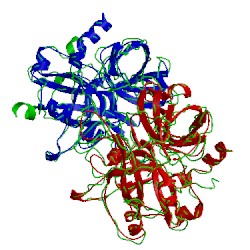 Image of CATH 1mkx