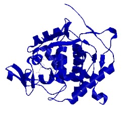 Image of CATH 1ml2