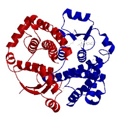 Image of CATH 1ml6