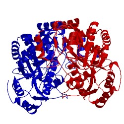Image of CATH 1mly