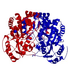 Image of CATH 1mlz