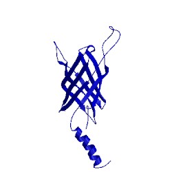 Image of CATH 1mm5