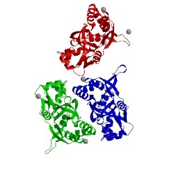 Image of CATH 1mm7