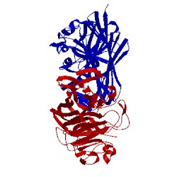 Image of CATH 1mmu