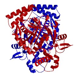 Image of CATH 1mmv