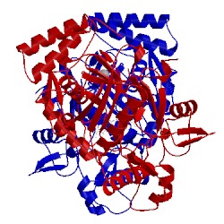 Image of CATH 1mmw