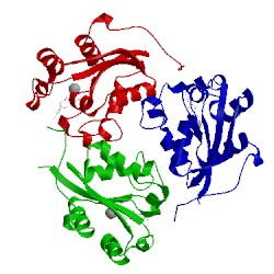 Image of CATH 1mn9