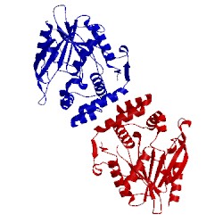 Image of CATH 1mnq