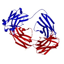 Image of CATH 1moe