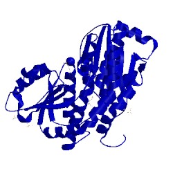 Image of CATH 1mos