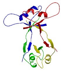 Image of CATH 1mpe
