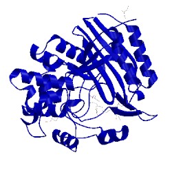 Image of CATH 1mpl