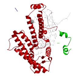 Image of CATH 1mps