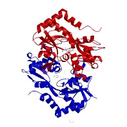 Image of CATH 1mqg