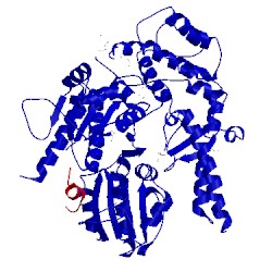 Image of CATH 1mqs