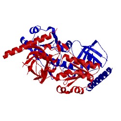 Image of CATH 1mrz