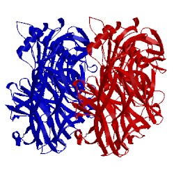 Image of CATH 1ms1
