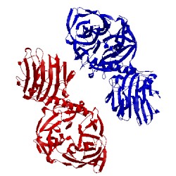 Image of CATH 1ms5